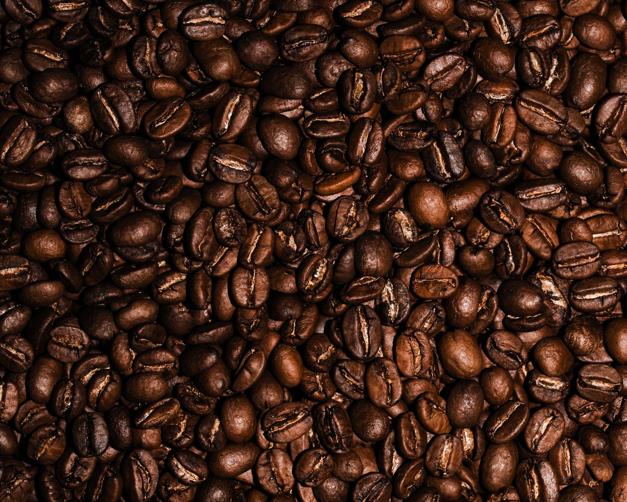 Great Coffee Comes to Those Who Wait: The Truth About Fresh Roasts