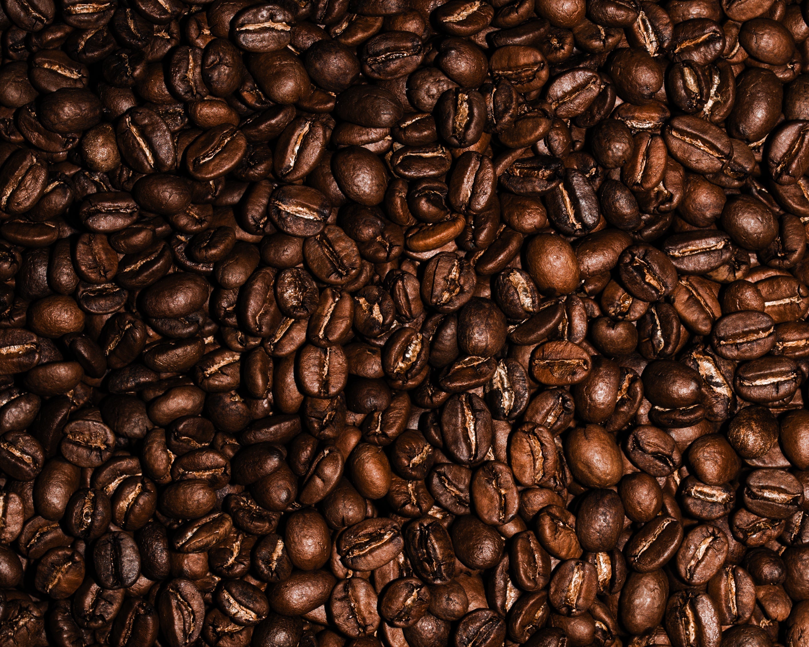 Great Coffee Comes to Those Who Wait: The Truth About Fresh Roasts